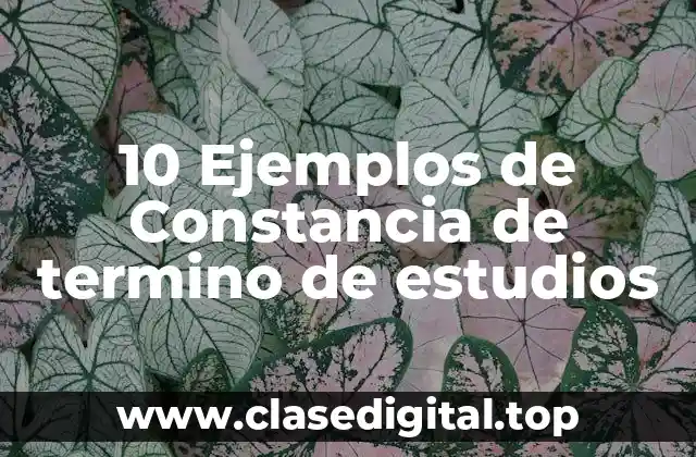 10 Ejemplos de Constancia de termino de estudios