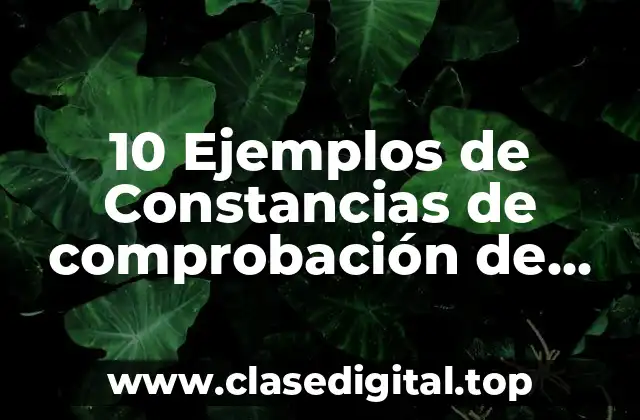 10 Ejemplos de Constancias de comprobación de gastos