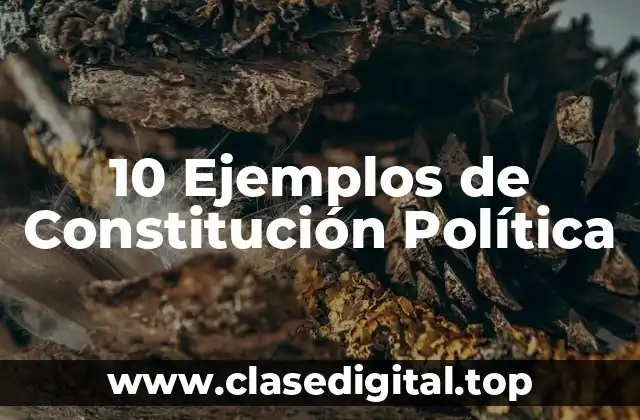10 Ejemplos de Constitución Política