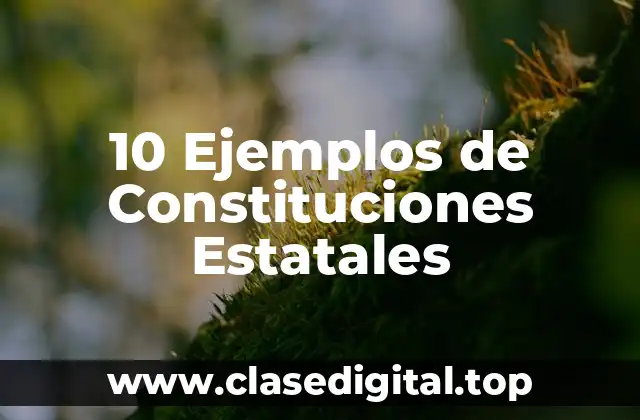 10 Ejemplos de Constituciones Estatales