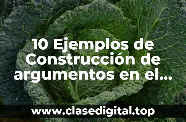 10 Ejemplos de Construcción de argumentos en el marco teórico