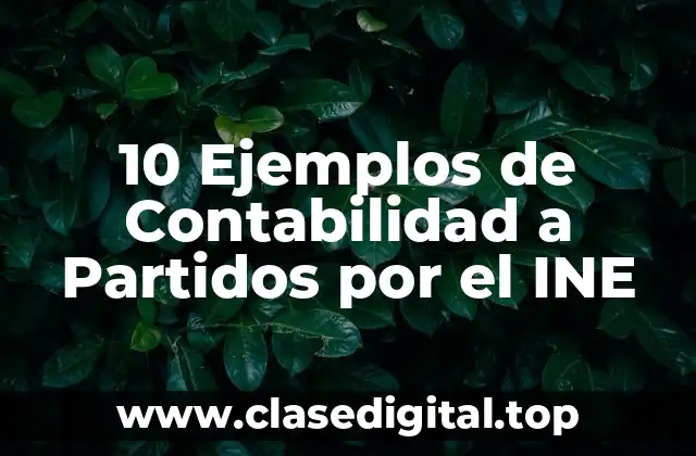 Ejemplos de Contabilidad a Partidos por el INE