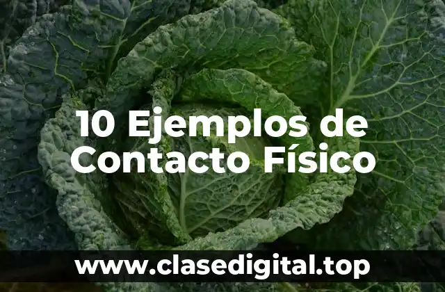10 Ejemplos de Contacto Físico