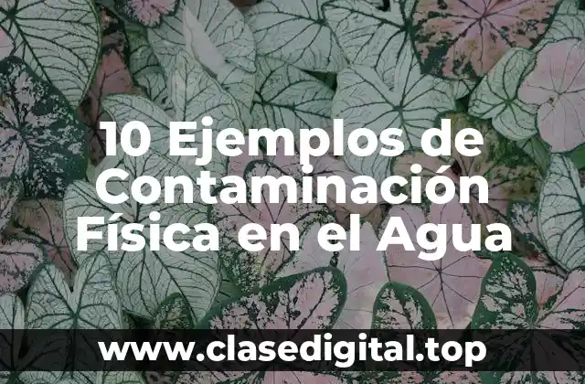 10 Ejemplos de Contaminación Física en el Agua