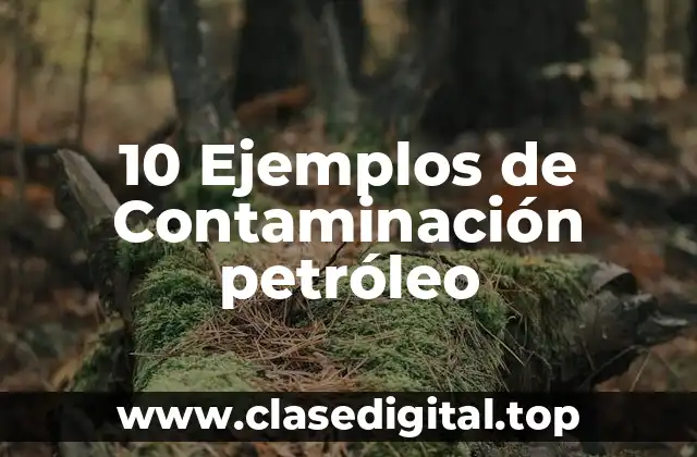 Ejemplos de contaminación petróleo