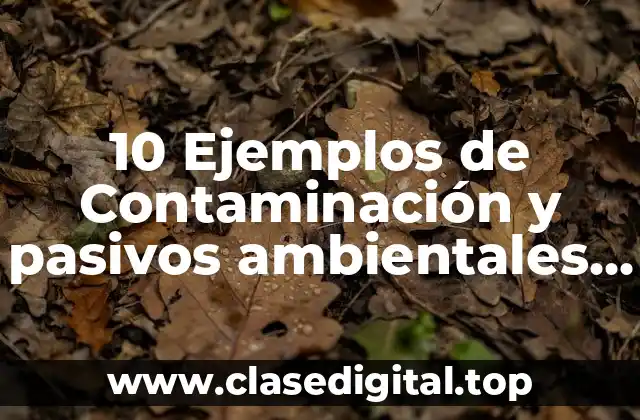 Ejemplos de contaminación y pasivos ambientales en Yucatán