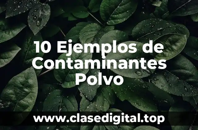 10 Ejemplos de Contaminantes Polvo