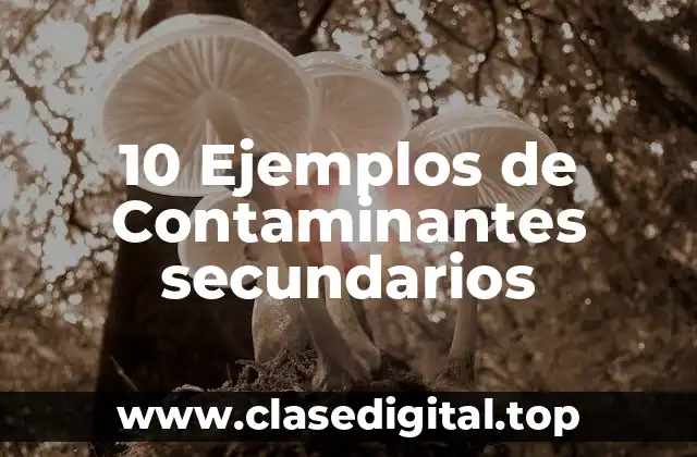 10 Ejemplos de Contaminantes secundarios