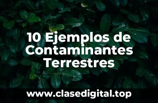 10 Ejemplos de Contaminantes Terrestres