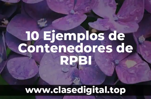 10 Ejemplos de Contenedores de RPBI