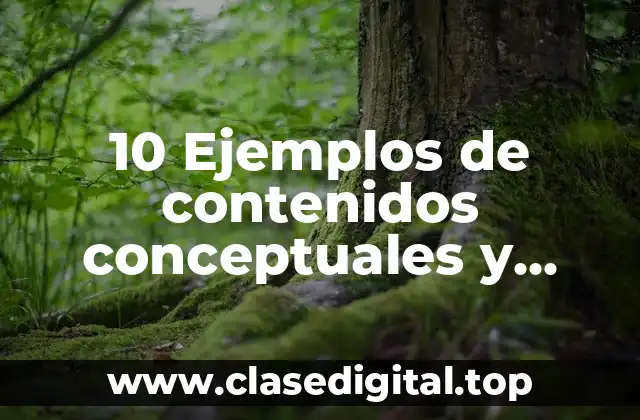 10 Ejemplos de contenidos conceptuales y procedimentales