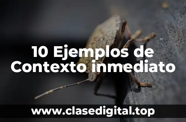 10 Ejemplos de Contexto inmediato
