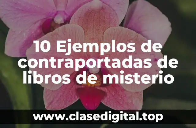 10 Ejemplos de contraportadas de libros de misterio