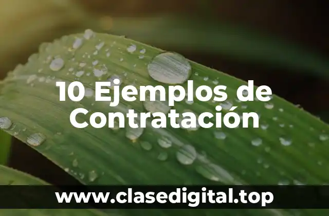 10 Ejemplos de Contratación