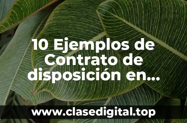 Ejemplos de contrato de disposición en México
