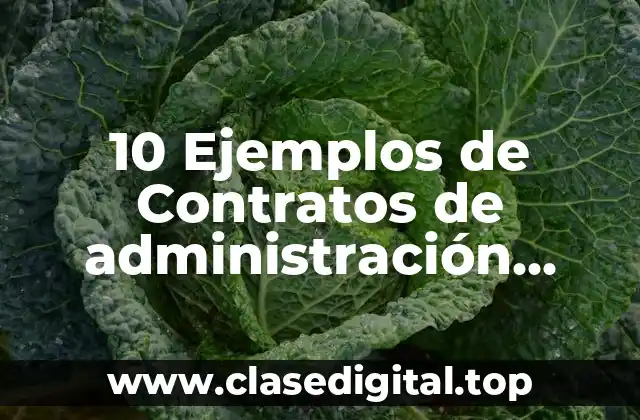 10 Ejemplos de Contratos de administración pública en México