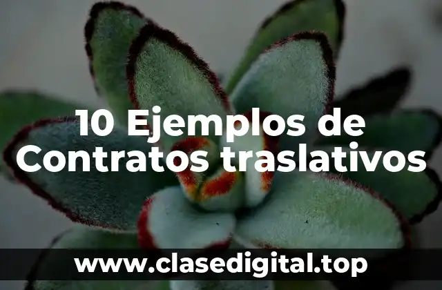10 Ejemplos de Contratos traslativos
