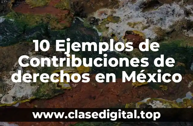 10 Ejemplos de Contribuciones de derechos en México