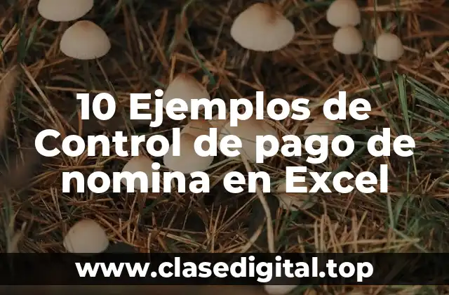 10 Ejemplos de Control de pago de nomina en Excel