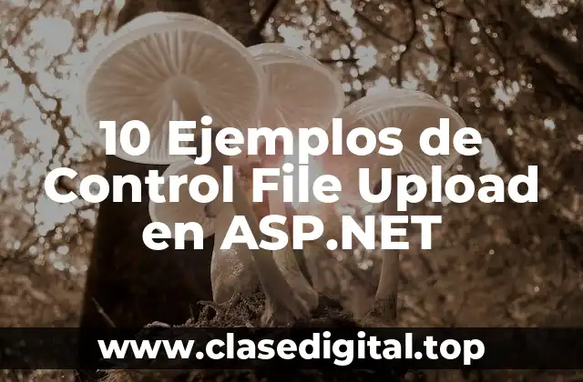 10 Ejemplos de Control File Upload en ASP.NET