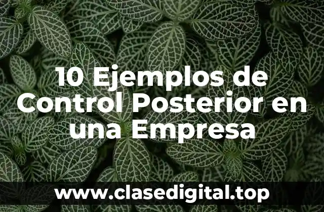 10 Ejemplos de Control Posterior en una Empresa