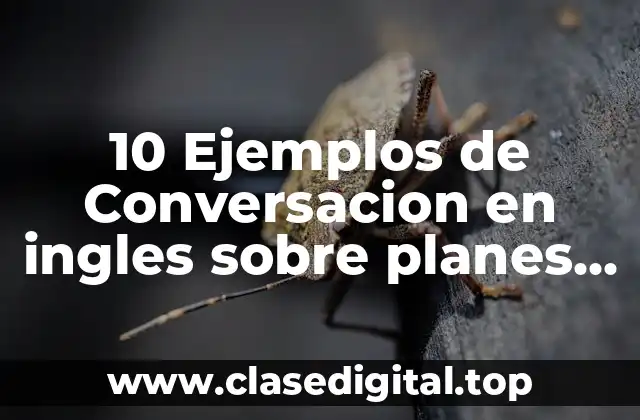 10 Ejemplos de Conversacion en ingles sobre planes en tiempo futuro