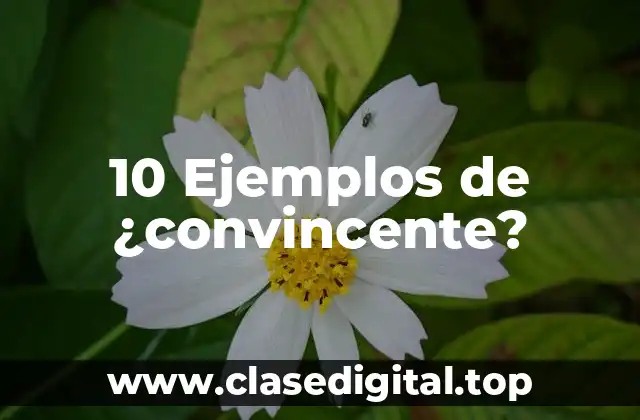 10 Ejemplos de ¿convincente?