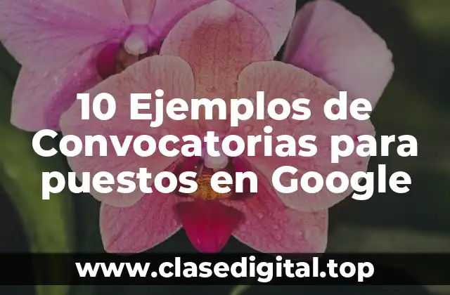 10 Ejemplos de Convocatorias para puestos en Google