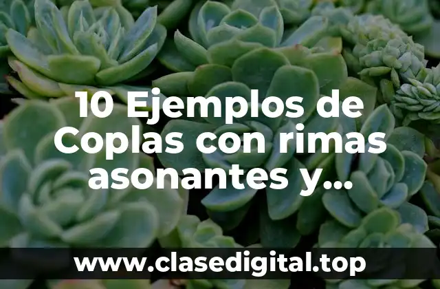 10 Ejemplos de Coplas con rimas asonantes y consonantes