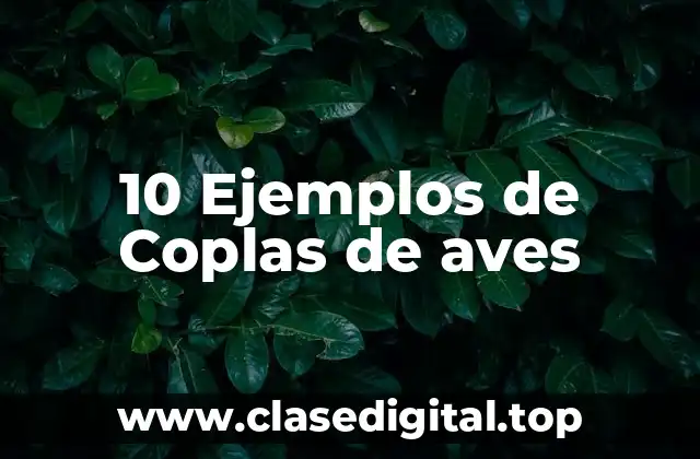 10 Ejemplos de Coplas de aves