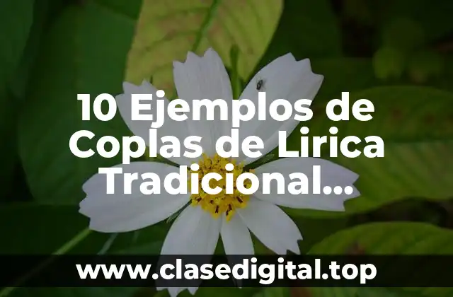 10 Ejemplos de Coplas de Lirica Tradicional Mexicana