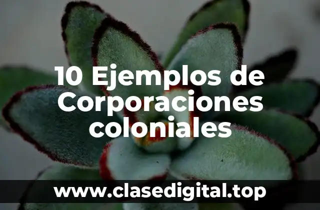10 Ejemplos de Corporaciones coloniales