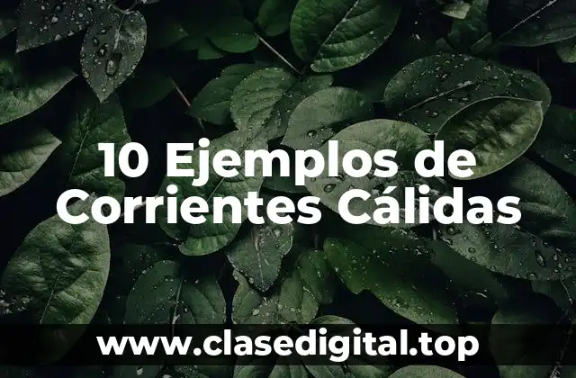 10 Ejemplos de Corrientes Cálidas