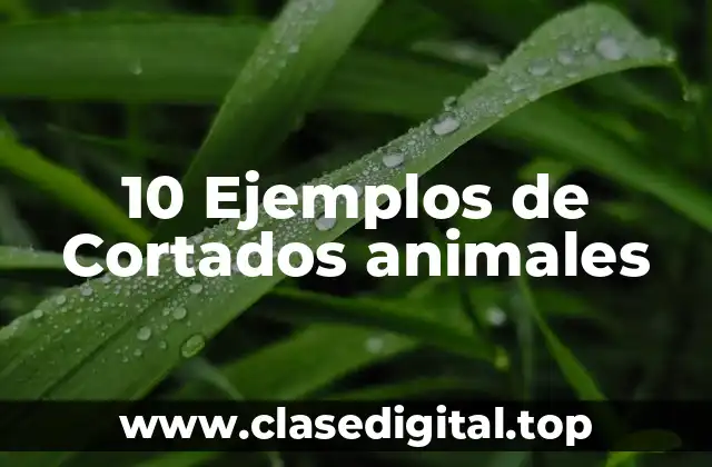 10 Ejemplos de Cortados animales