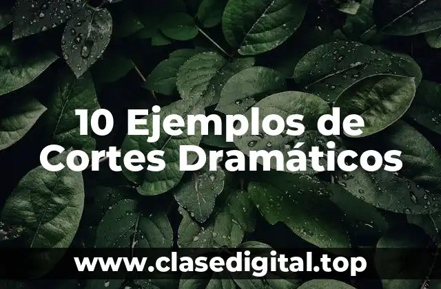 10 Ejemplos de Cortes Dramáticos