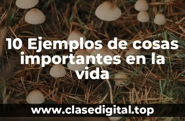 10 Ejemplos de cosas importantes en la vida