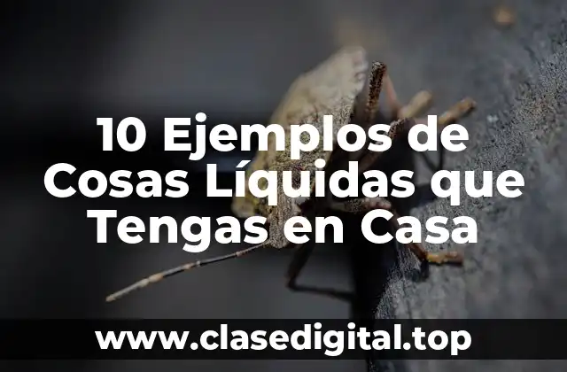 10 Ejemplos de Cosas Líquidas que Tengas en Casa
