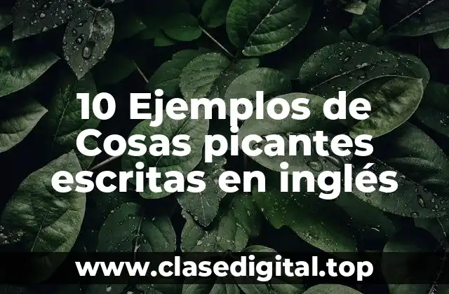 10 Ejemplos de Cosas picantes escritas en inglés