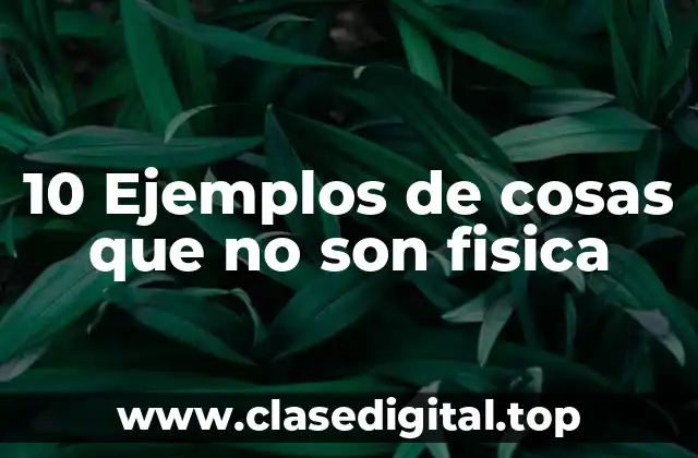 Ejemplos de cosas que no son físicas