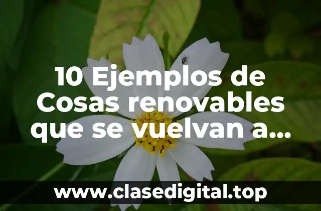 10 Ejemplos de Cosas renovables que se vuelvan a formar ya utilizados