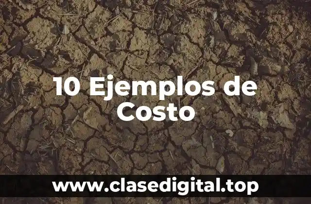 10 Ejemplos de Costo