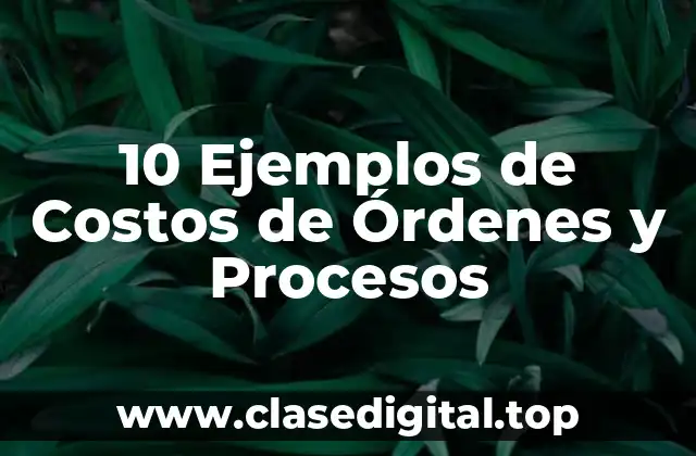 10 Ejemplos de Costos de Órdenes y Procesos