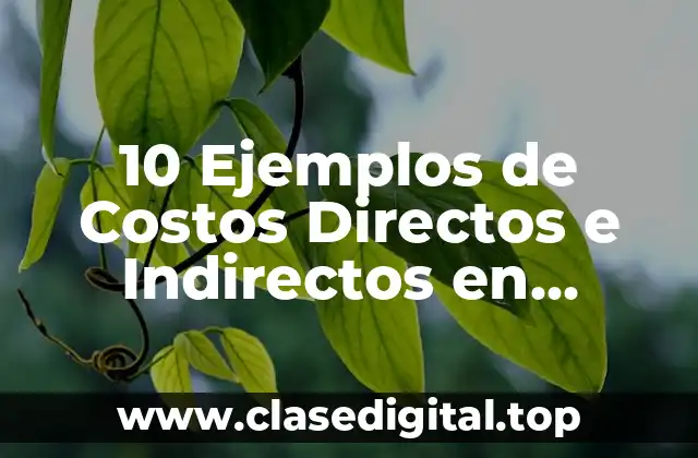 Ejemplos de Costos Directos e Indirectos en Construcción