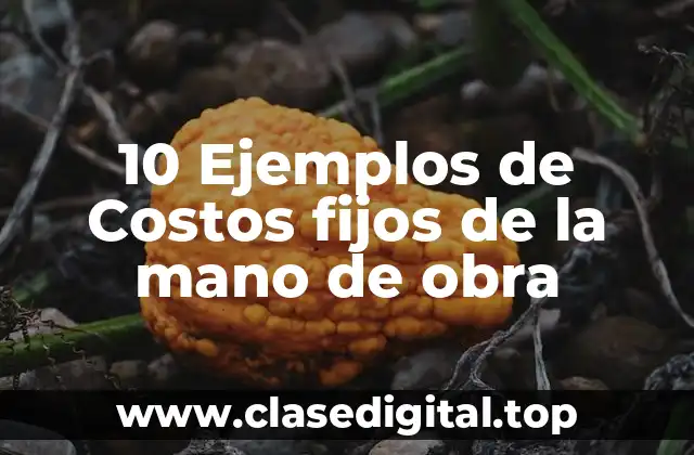 10 Ejemplos de Costos fijos de la mano de obra