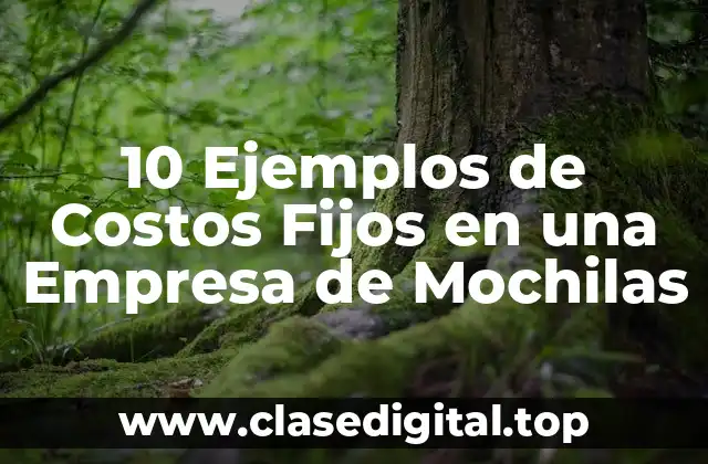10 Ejemplos de Costos Fijos en una Empresa de Mochilas
