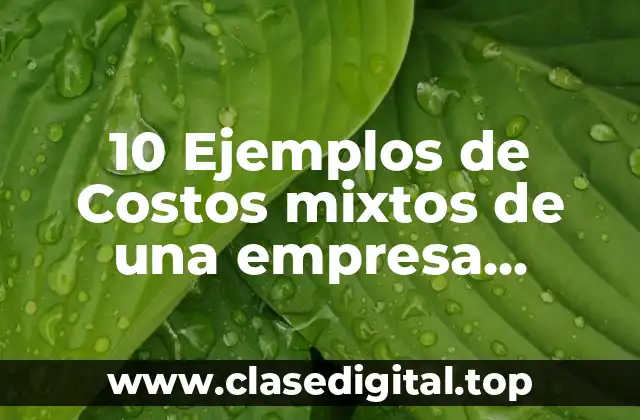 10 Ejemplos de Costos mixtos de una empresa industrial