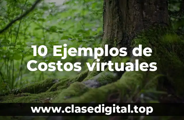 10 Ejemplos de Costos virtuales