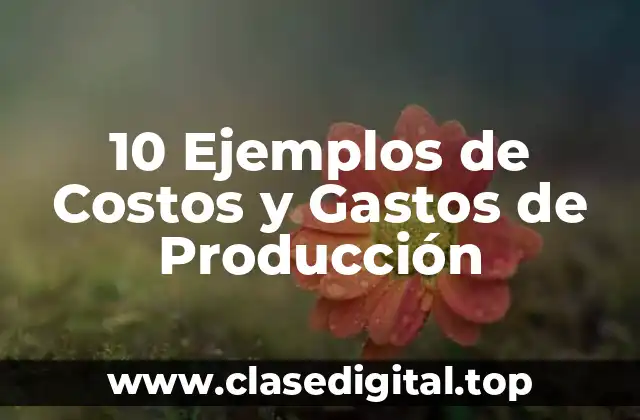 10 Ejemplos de Costos y Gastos de Producción