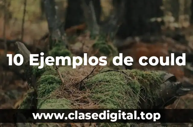 10 Ejemplos de could