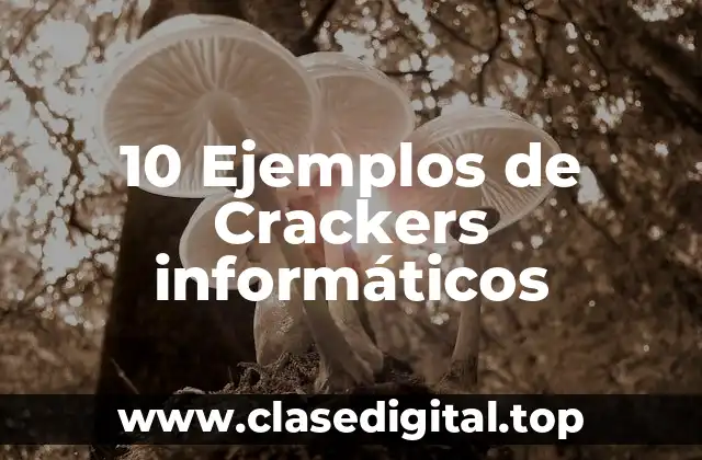 10 Ejemplos de Crackers informáticos